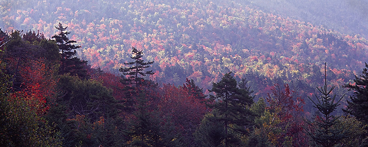 Fall Panorama on the Kancamagus Highway, NH 